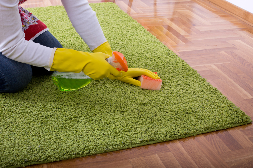 Carpet Cleaning for Your Business